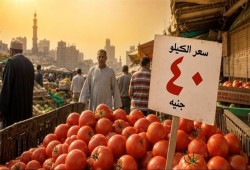 الطماطم تتجه إلى 40 جنيهًا.. فجوة العروات وحرارة الصيف تضغطان على المعروض