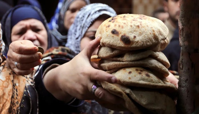 رئيس مركز البحوث الزراعية يحمل المواطن مسؤولية أزمة القمح: الاستهلاك المصري يتجاوز ضعف المتوسط العالمي