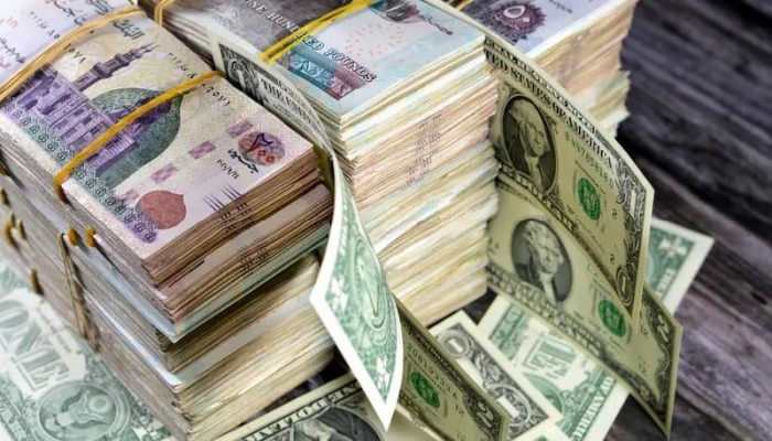هروب الأموال الساخنة والفائدة المرتفعة يدفعان الدولار إلى مستويات قياسية بتجاوز الـ 51 جنيهاً