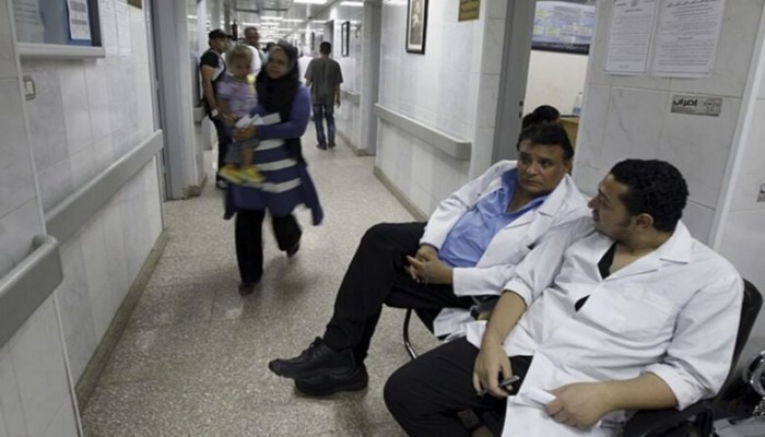 130 ألف طبيب خارج مصر.. هل ينجح مقترح تأهيل البيطريين في سد العجز رغم الرفض النقابي؟