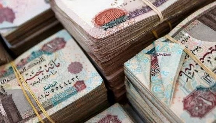 المركز المصري للدراسات الاقتصادية || قصة أول انخفاض شهري في المعروض النقدي الواسع بمصر