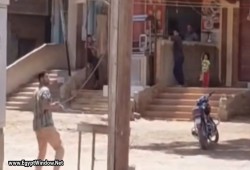 بالفيديو.. سرقة كابلات الكهرباء في القليوبية في عز الظهر.. أين الأمن؟