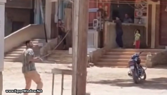 بالفيديو.. سرقة كابلات الكهرباء في القليوبية في عز الظهر.. أين الأمن؟