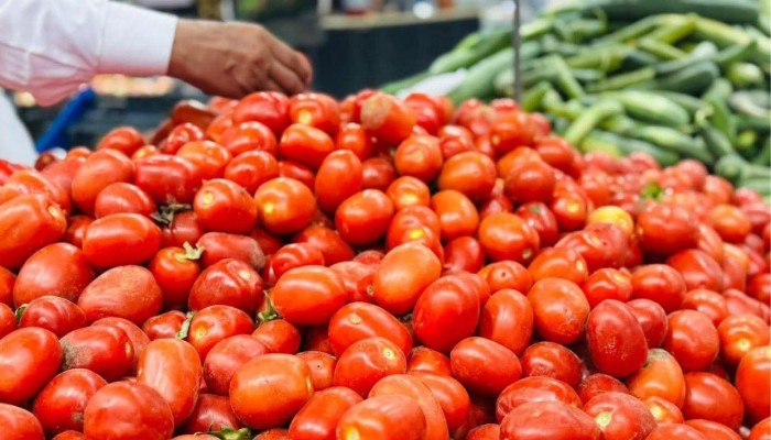 دراسة: الطماطم قد تمنح الدماغ فوائد مذهلة