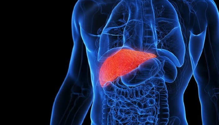 مشروبات شائعة قد تساعد في الحفاظ على صحة الكبد..تعرف إليها