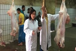 بعد تسع سنوات وفي عصر الذكاء الاصطناعي.. 33 مجزرًا فقط تغادر العمل اليدوي إلى النصف آلي والآلي من أصل 464