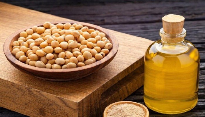 دراسة تربط استخدام زيت الصويا بزيادة خطر سرطان المثانة