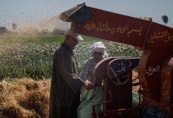 معهد التحرير لسياسات الشرق الأوسط || صعود الدولة الموازية في مصر