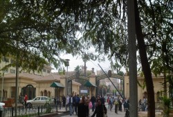 القصر العيني يدخل دائرة مخاوف بيع الأصول بعد تخصيص 150 فدانًا في أكتوبر