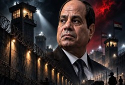 13 عامًا من التوسع في السجون