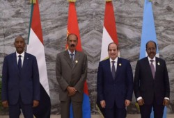 هورن ريفيو || مصر تكشف عن تحالفها المناهض لأديس أبابا.. وإثيوبيا تحقق مكاسب ضد المتمردين فما الخطوة التالية؟