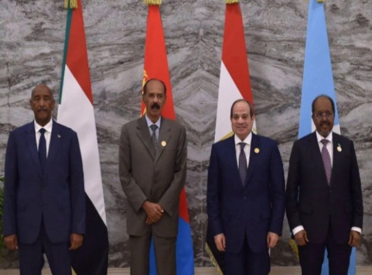 هورن ريفيو || مصر تكشف عن تحالفها المناهض لأديس أبابا.. وإثيوبيا تحقق مكاسب ضد المتمردين فما الخطوة التالية؟