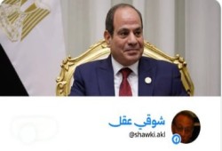 شوقي عقل يدعو لإنهاء حكم السيسي بتحرك شعبي سلمي للحفاظ على ما تبقى من مصر واستعادة الحريات