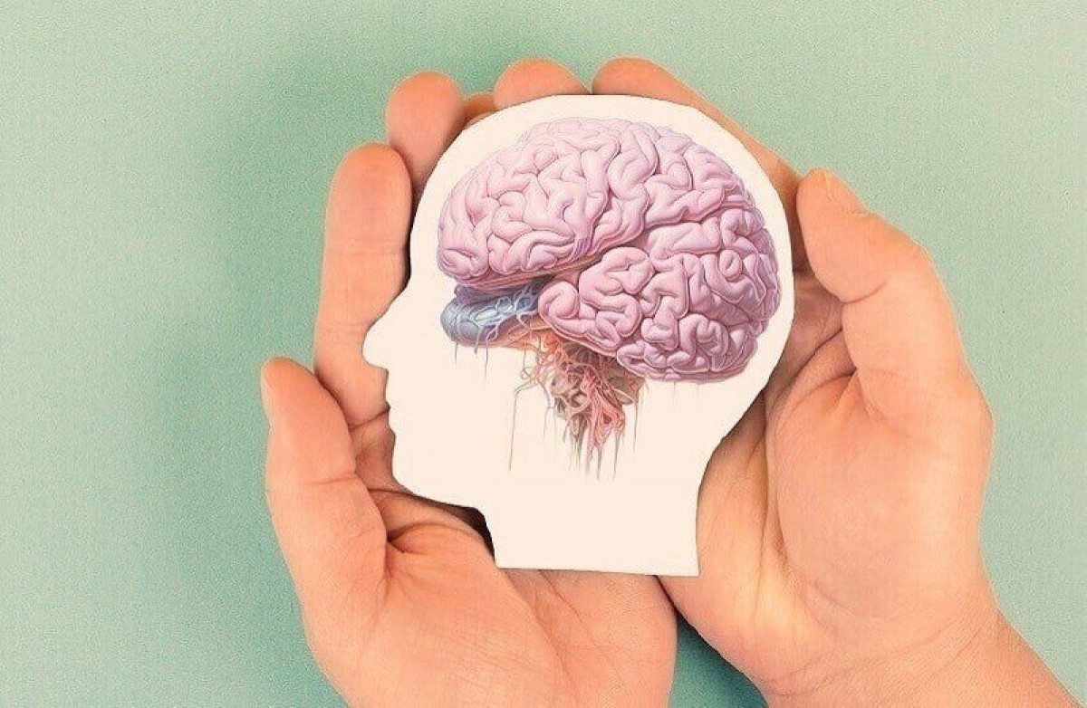 أطعمة تدعم صحة الدماغ وتحافظ على كفاءته