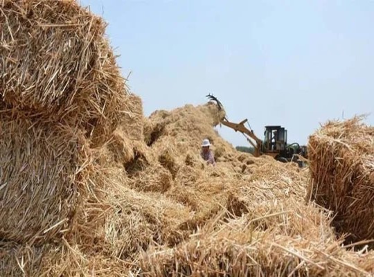 الفلاح يدفع ثمن فشل حكومة السيسي.. مخلفات زراعية بالملايين وغرامات تصل إلى مليون جنيه