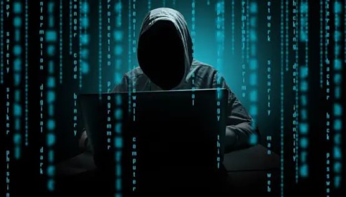 تجارة التفاهة في زمن العسكر.. شباب يطارد التريند وحكومة تهرب من مسؤوليتها