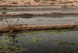 برك الصرف المكشوفة تحول إسكان حدائق أكتوبر إلى بؤرة للأوبئة والحشرات وتهدد صحة 100 ألف مواطن