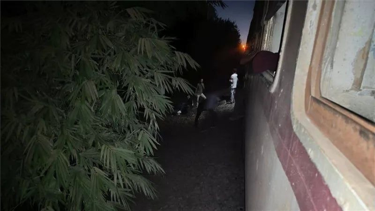 تعطل قطار بالمنوفية يثير استياء الركاب من تردي الخدمة رغم رفع أسعار التذاكر